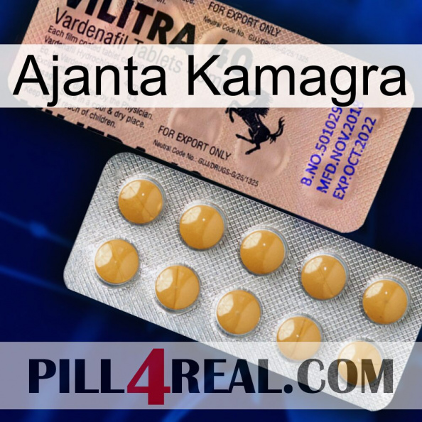 Ajanta Kamagra 41